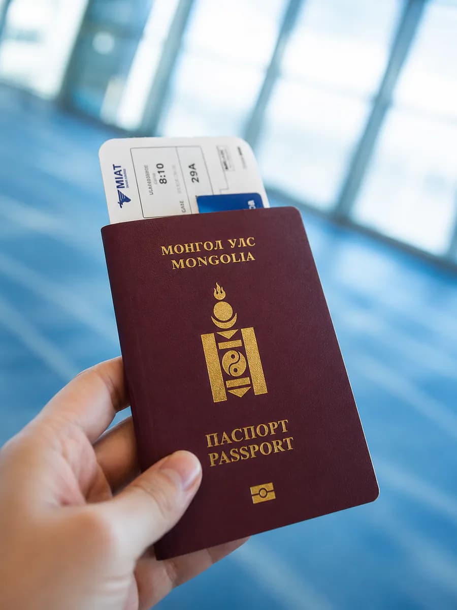 Паспорт болон виз, цагаачлалын баримт бичгийн орчуулгын дүрслэл